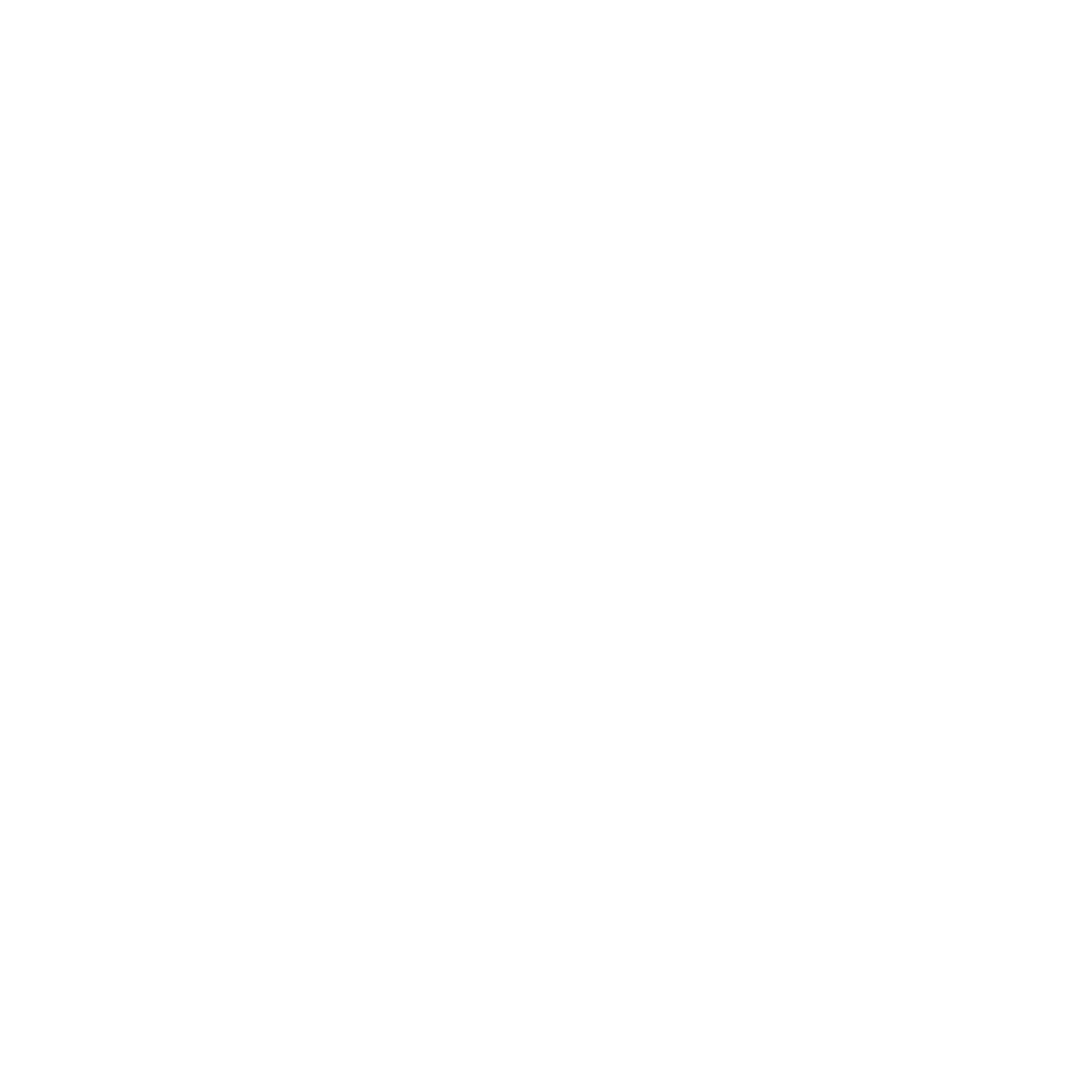 Pupa Consulting